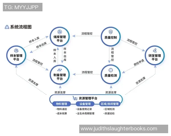 深圳篮球队区域防守革新之路探索与实践分析